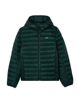 Giacca Padded Lacoste Basic Verde per uomo