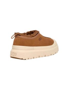 Scarpe Tasman Weather Hybrid camel per uomo