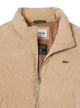 Giacca Lacoste In Cordon Beige per uomini